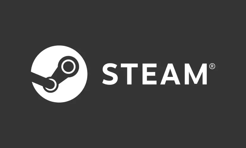 Steam 20 USD Cüzdan Kodu